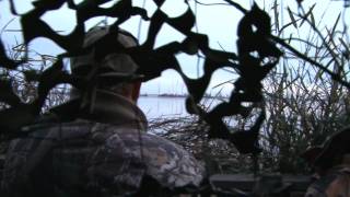preview picture of video 'Duck Hunting--Dyer County, Tennessee'