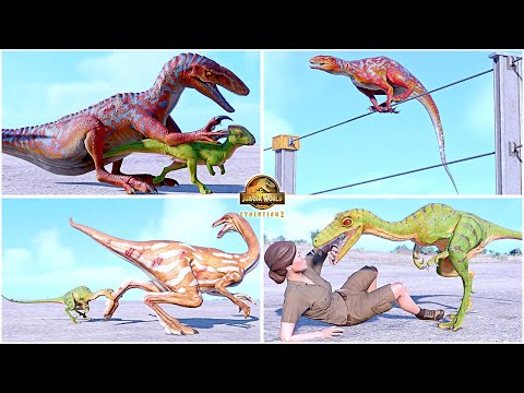 Australovenator & Troodon All Perfect Animations & Interactions 🦖 Jurassic World Evolution 2