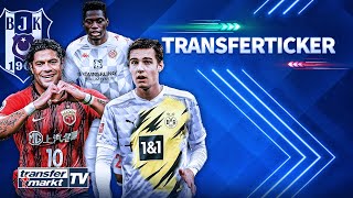Auch BVB will Neuhaus / Hulk vor Besiktas-Transfer / Mainz hat da Costa geholt | TRANSFERMARKT