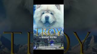 Troy: The Bharat Putra
