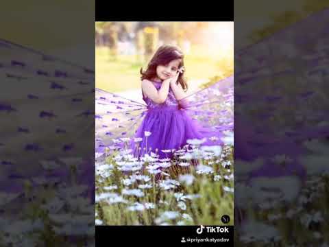 Anaya  Anaya’s Portfolio