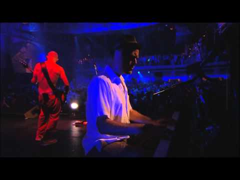 Red Hot Chili Peppers - Police Station (Live In Cologne HD 1080p)