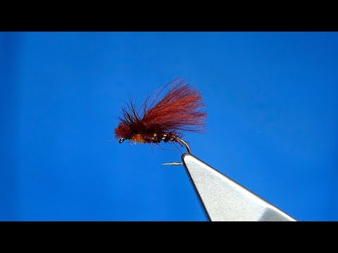 Tying a CDC Chocolate Drop Caddis Missing Link Style) by Davie McPhail