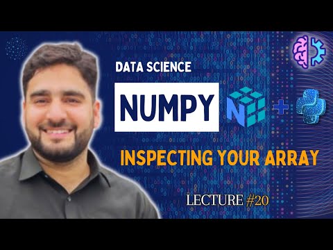 Numpy Array Inspection Explained Python Data Analysis Guide Lecture 20