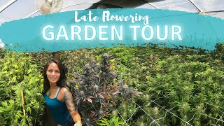 Rad Reefer: Winter Run week 6