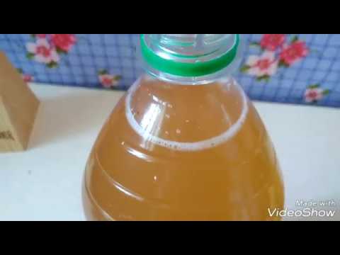 Как приготовить Квас в домашних условиях