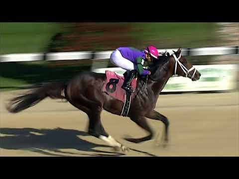 2018 Rebel Stakes Tease