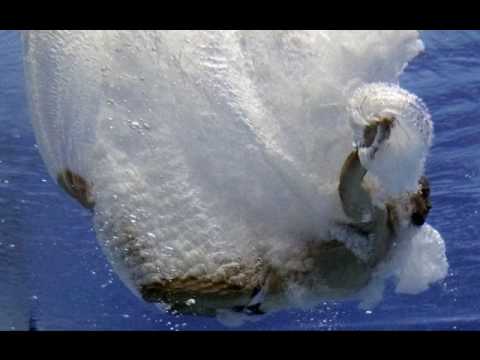 Yahel - You Inside (Daniel Saar Club Mix)