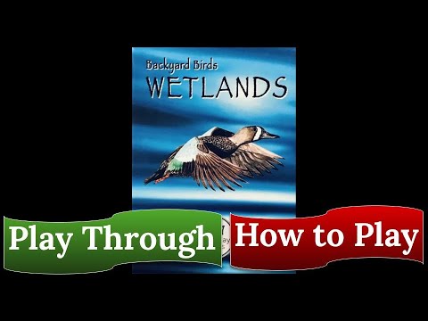 Backyard Birds: Wetlands - Play Through and How to Play