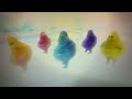 The Boohbahs Twist To The A Bird Of A Different Feather Hawaii End Credits