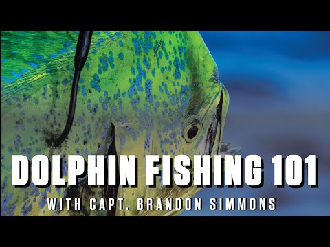 HOW 2 TUESDAY - Mahi Mahi (Dolphin) Fishing 101 with Capt. Brandon Simmons