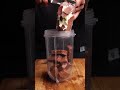 5 Star Milkshake Recipe ASMR Shorts