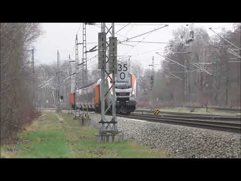 Eurodual überführt Talent 2