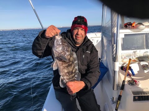 When to Set the Hook?  Non Stop Tautog (Blackfish) Jig Bite