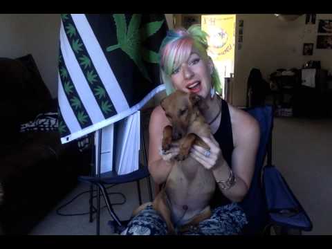 Ron Swanson Reminding You--Consume Responsibly!