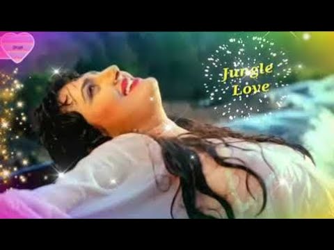 Hum To The Anjaane 💞💞💞- Anuradha Paudwal, Jungle Love Song