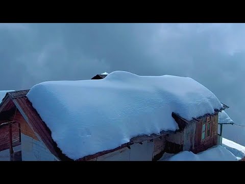 Zuluk |Silk route | Zuluk on snow cover .#shorts #silkroutebackpackers