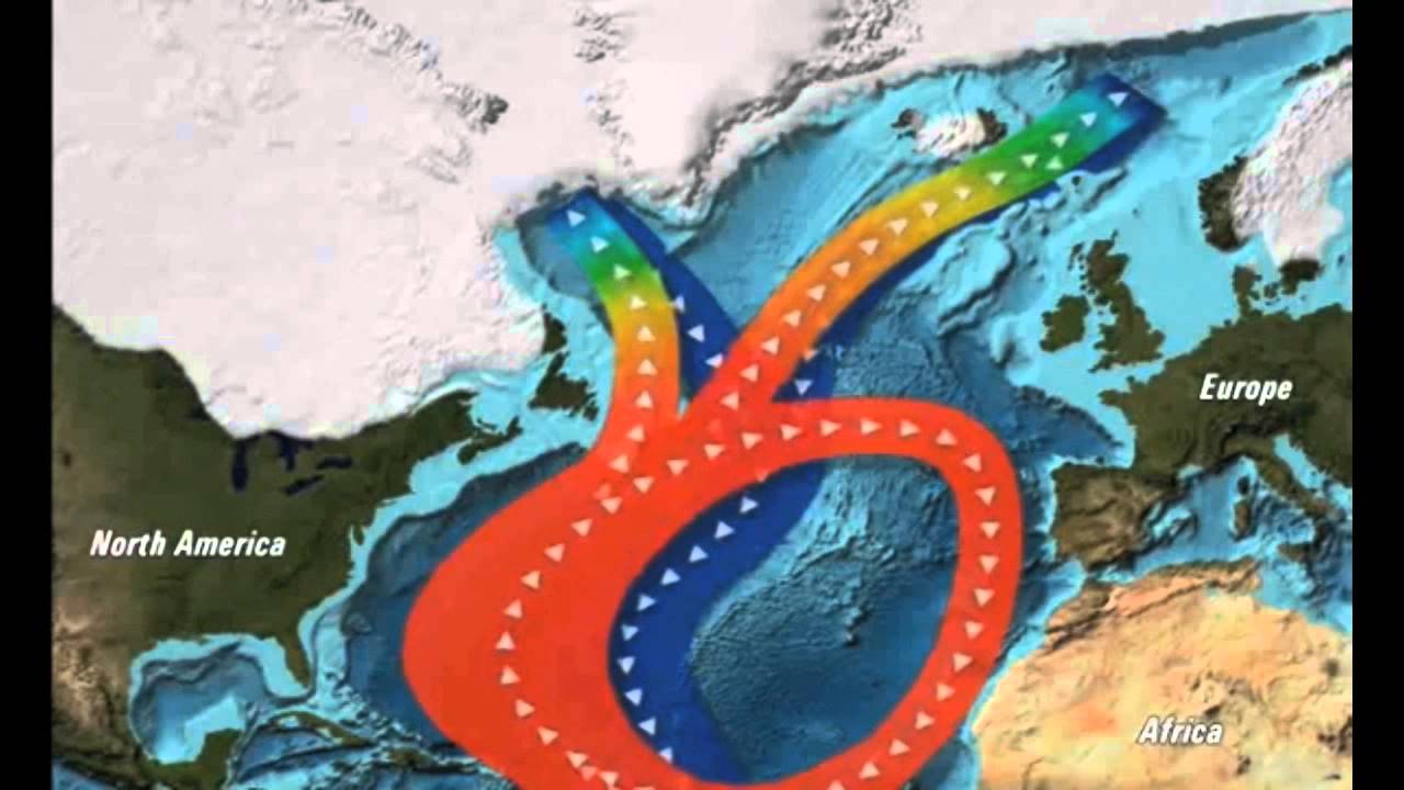 Abrupt Impacts of Climate Change