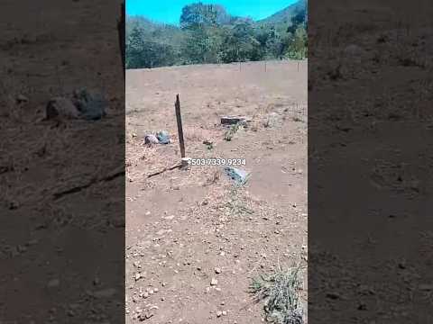 Se vende!  en El Salvador , Gran oportunidad parcelas a buen precio #lotesenventa #503 #elsalvador