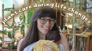 Tips for Preparing Your Plant Collection for BIG Life Changes