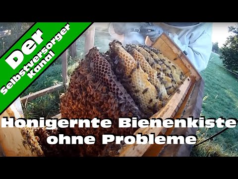 Die richtige Ernährung für Diabetiker Nützliche Zuckerersatzstoffe für Diabetiker