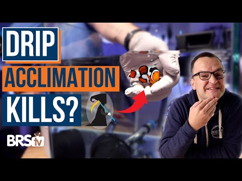 Acclimate for Success! 9 Easy Steps for Drip Acclimating New Saltwater Fish! Ep. 34a