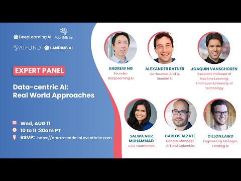 Data-centric AI: Real World Approaches