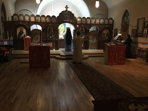 Evening Musings: #0 - A Discussion On the Resurrection & Full Preterism