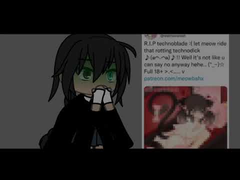 Meowbahh Technoblade Video