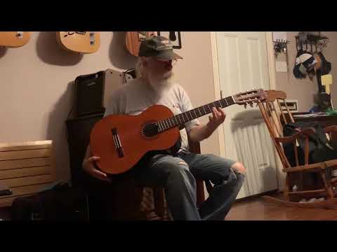 Hohner Contessa HG-14 Nylon String MIJ image 18