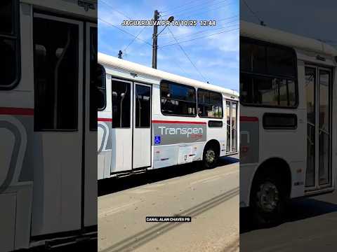 URBANO TRANSPEN 39000 #bus #urbano #viagem #onibus #travel #jaguariaíva #paraná #shorts #viral #top