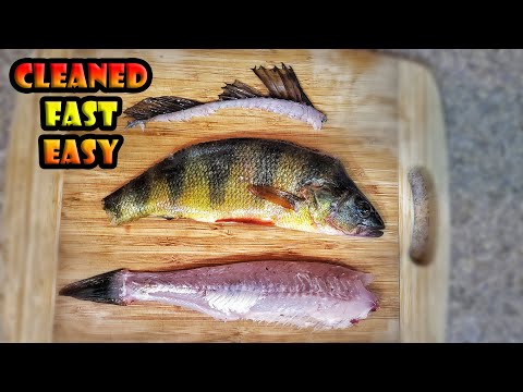How to Clean a Yellow Perch Fish by Peeling the Skin Off