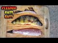 How to Clean a Yellow Perch Fish by Peeling the Skin Off