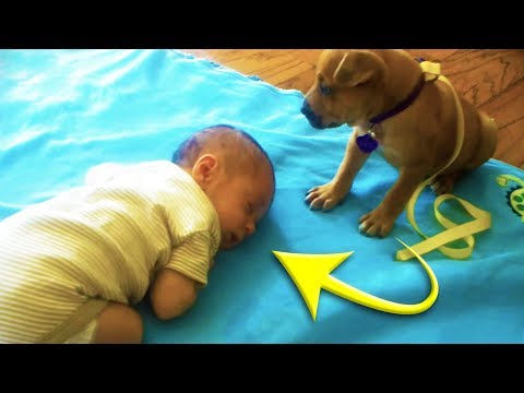 Eine Mutter filmte wie ihr Baby einschlief und erwischte den Moment, in dem ihr Hund näher kam