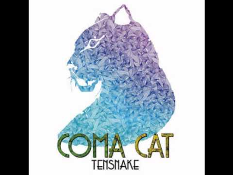 Coma Cat - Tensnake ( Round Table Knights Remix )