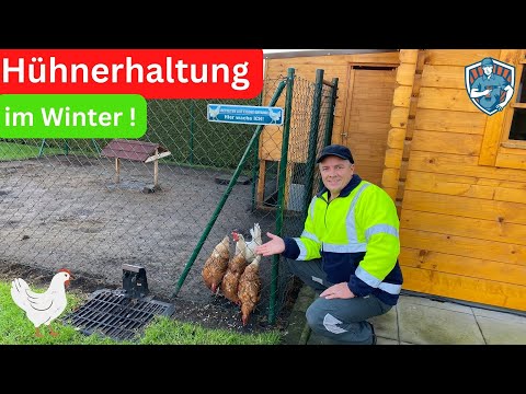 Hühnerhaltung im Winter 🐓🐓🐓✅