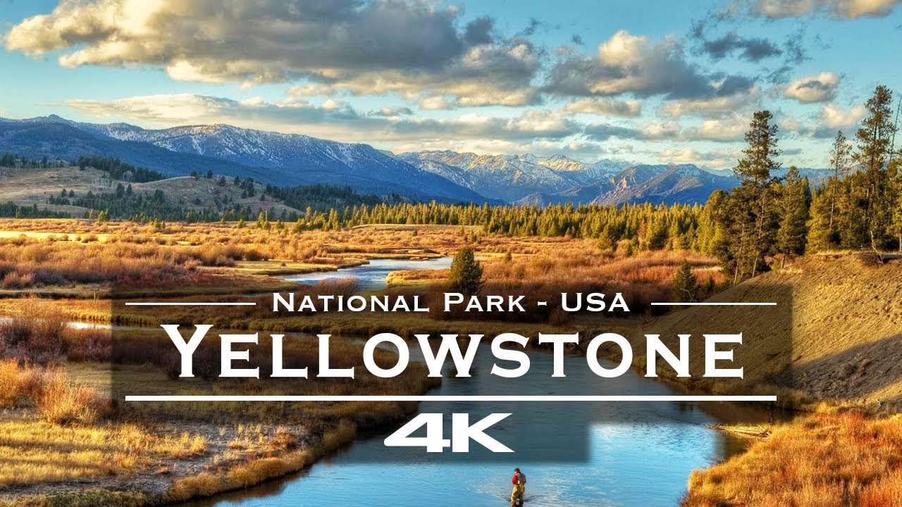 Yellowstone National Park from Above 🇺🇸 | Stunning 4K Drone Footage of Nature & Wildlife