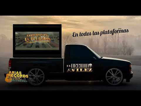 Decidido Avilez -  #hummer #decidido #caballos #corridos #RigoCampos #avilez