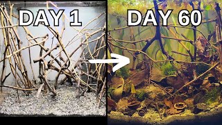 I Simulated Black Water Ecosystem, This Happened!