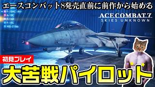 【エースコンバット7】難易度ノーマル大苦戦！シリーズ初プレイ【初見プレイ】