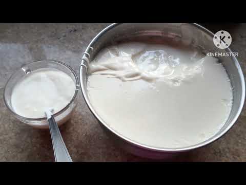 Vídeo: Iogurte natural com leite de caixinha: dúvidas