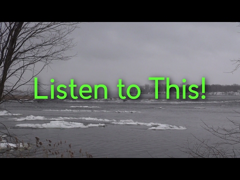 Listen to This! Episode 2 (Diggin' in the Carts)