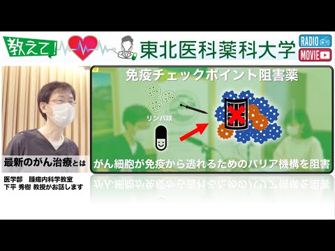 薬学科 【Radio×YouTube】教えて！東北医科薬科大学