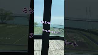 BGMの仕事🎶 #piano #アメリカ在住 #ミュージシャン