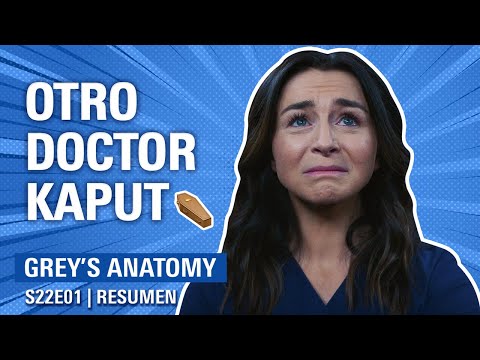 Grey's Anatomy 22x01 resumen recap season finale