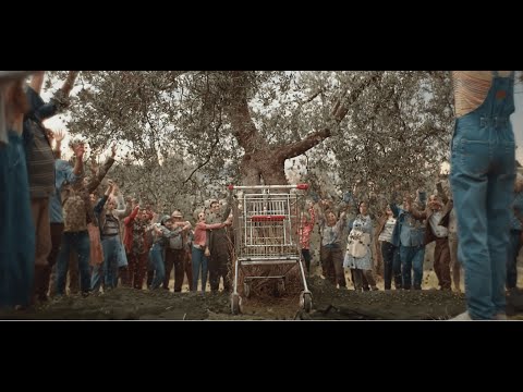 Buoni Dentro - I nuovi oli Coop