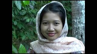 Download lagu KEMBANG DESO - Dul Giman mp3 Download lagu KEMBANG DESO - Dul Giman mp3