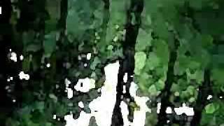 Calmstreet - Third Wave video