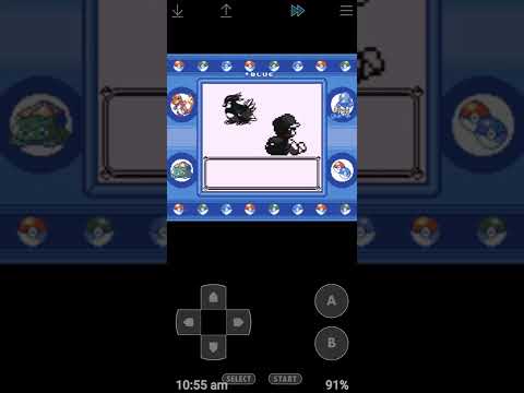 Old man glitch in Pokémon Blue