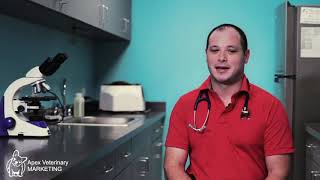 Veterinary Marketing - Video - 1